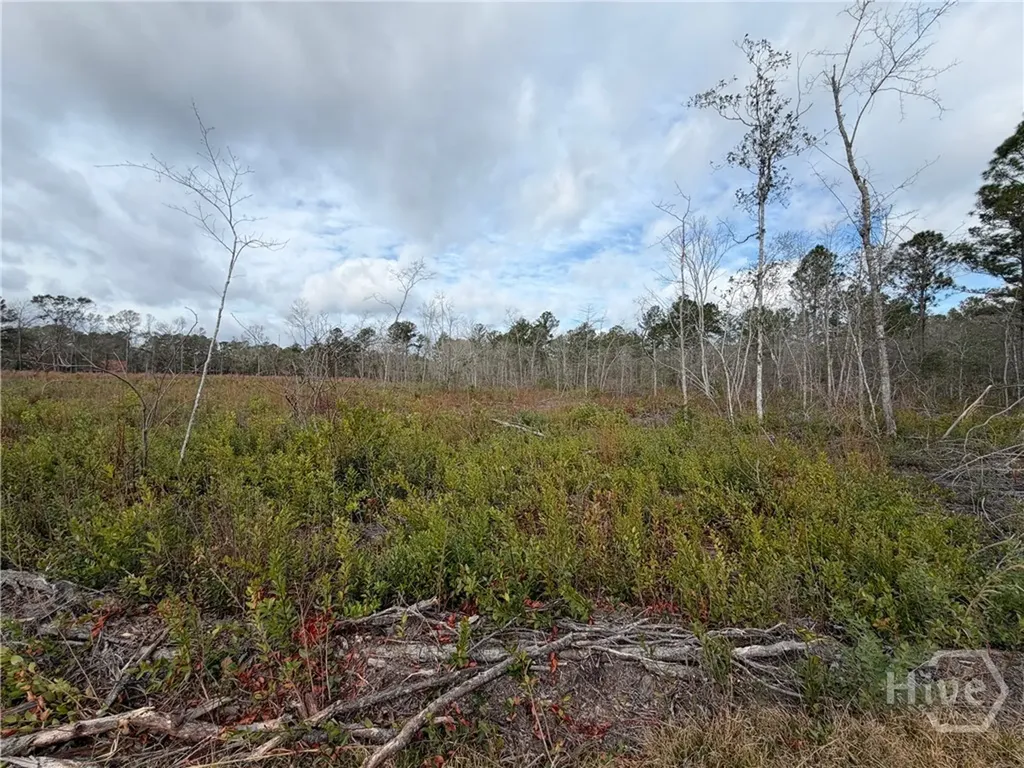 1836-A Highway 17 Guyton GA 31312