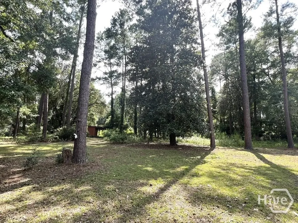 311 N Mcdonald Street Ludowici GA 31316