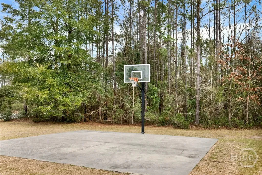 100 Wicklow Drive Richmond Hill GA 31324