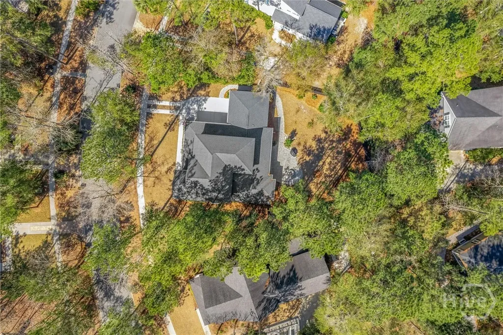 310 W Blackjack Oak Drive Richmond Hill GA 31324