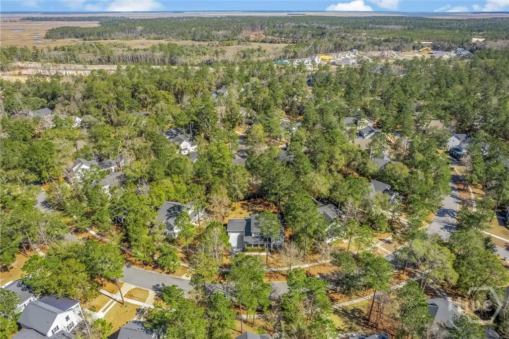 310 W Blackjack Oak Drive Richmond Hill GA 31324