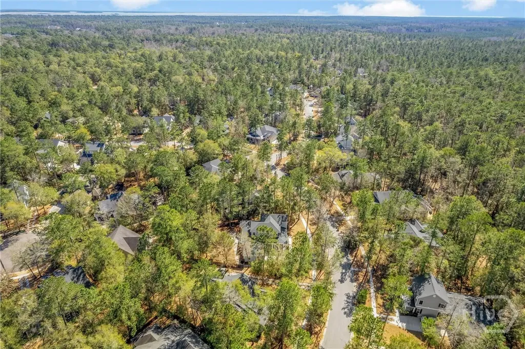 310 W Blackjack Oak Drive Richmond Hill GA 31324