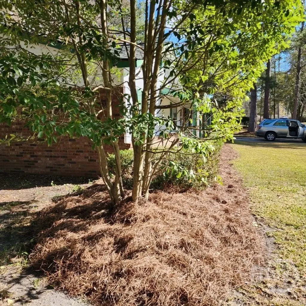 23 Canterbury Circle Savannah GA 31419
