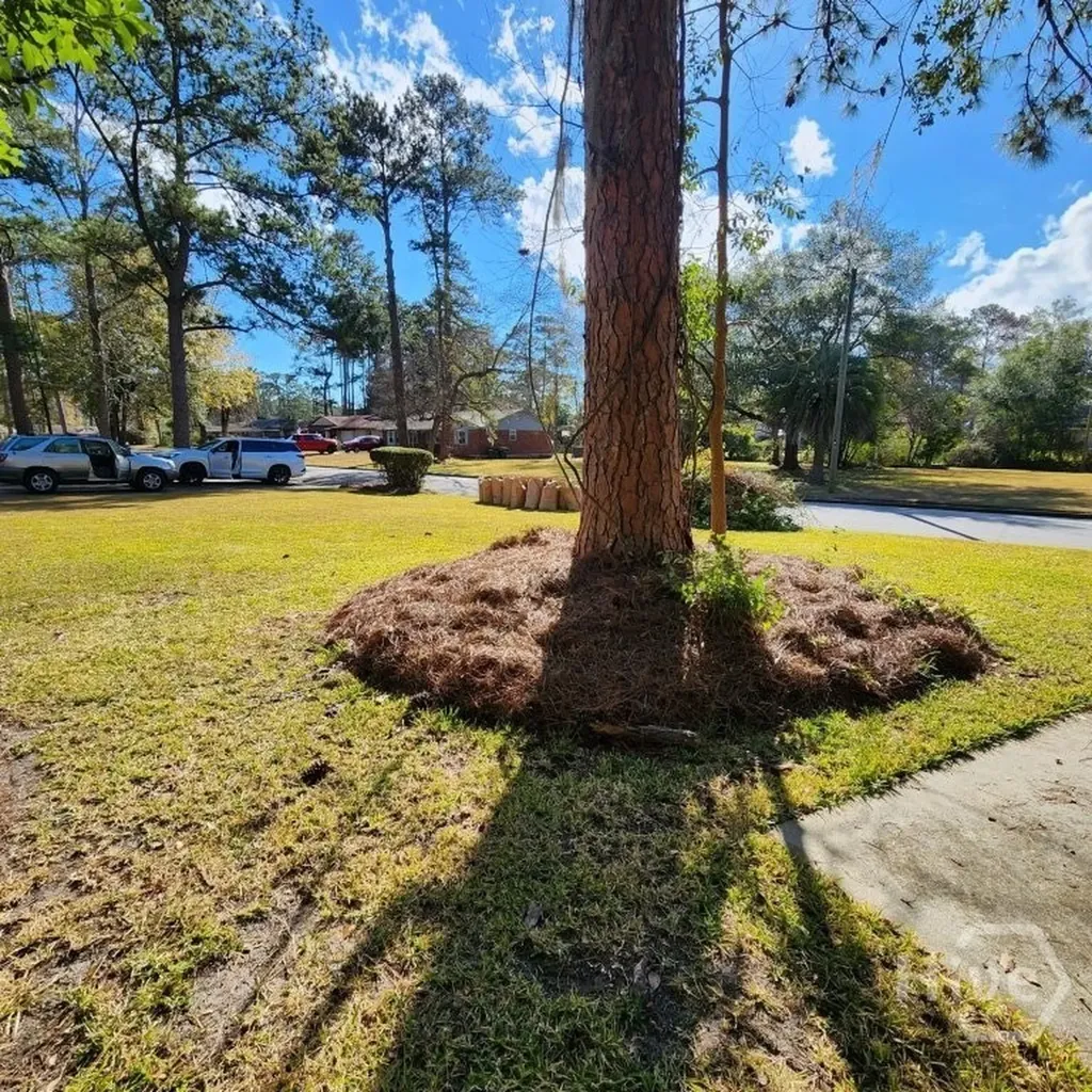 23 Canterbury Circle Savannah GA 31419