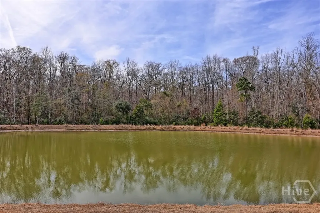 123 Harvest Hill Pooler GA 31322