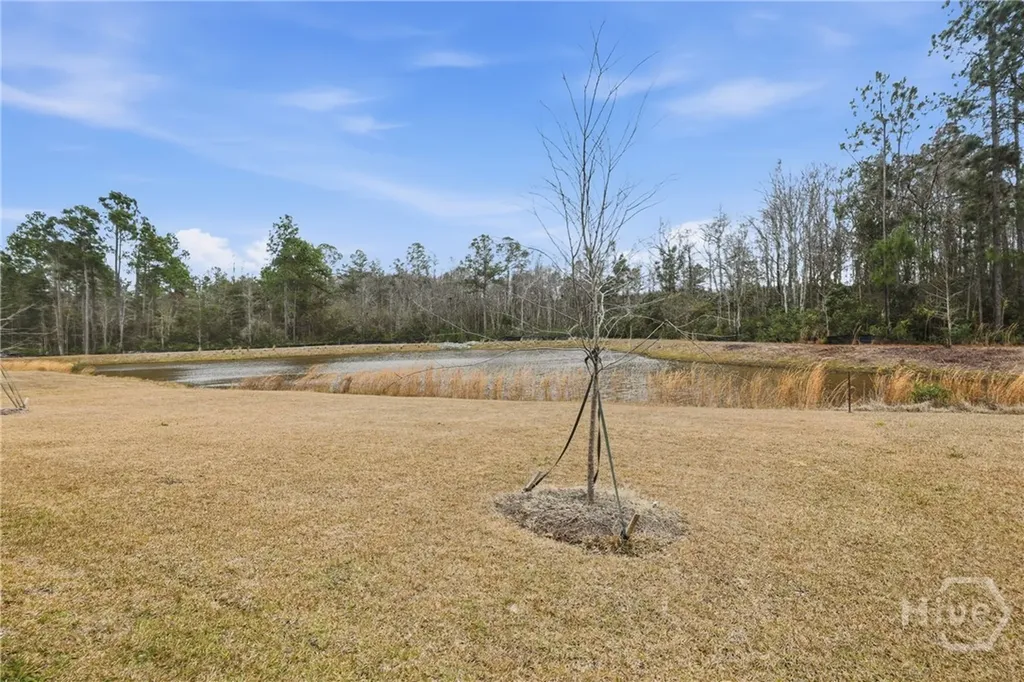729 Blue Moon Crossing Pooler GA 31322