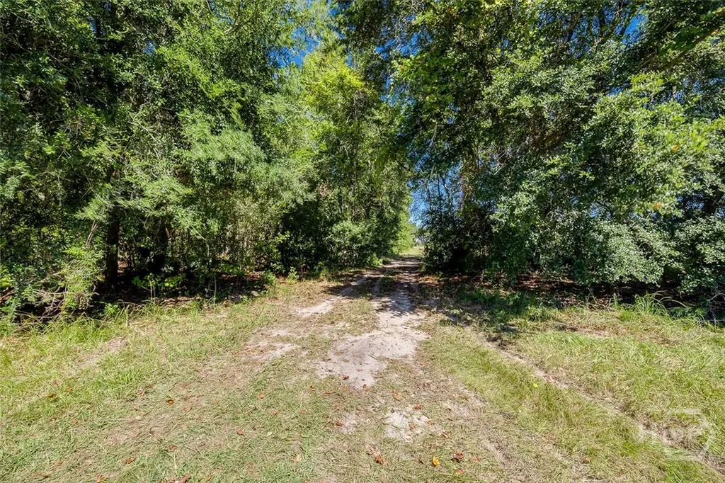 215 Lorenzo Hurst Road Springfield GA 31329