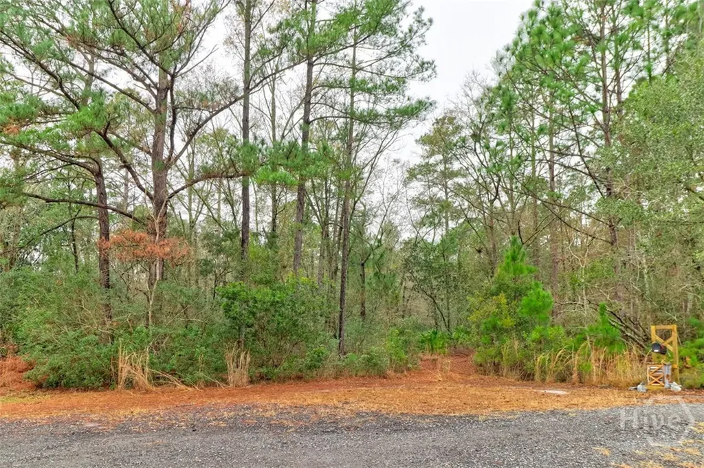 109 Unique Drive Guyton GA 31312