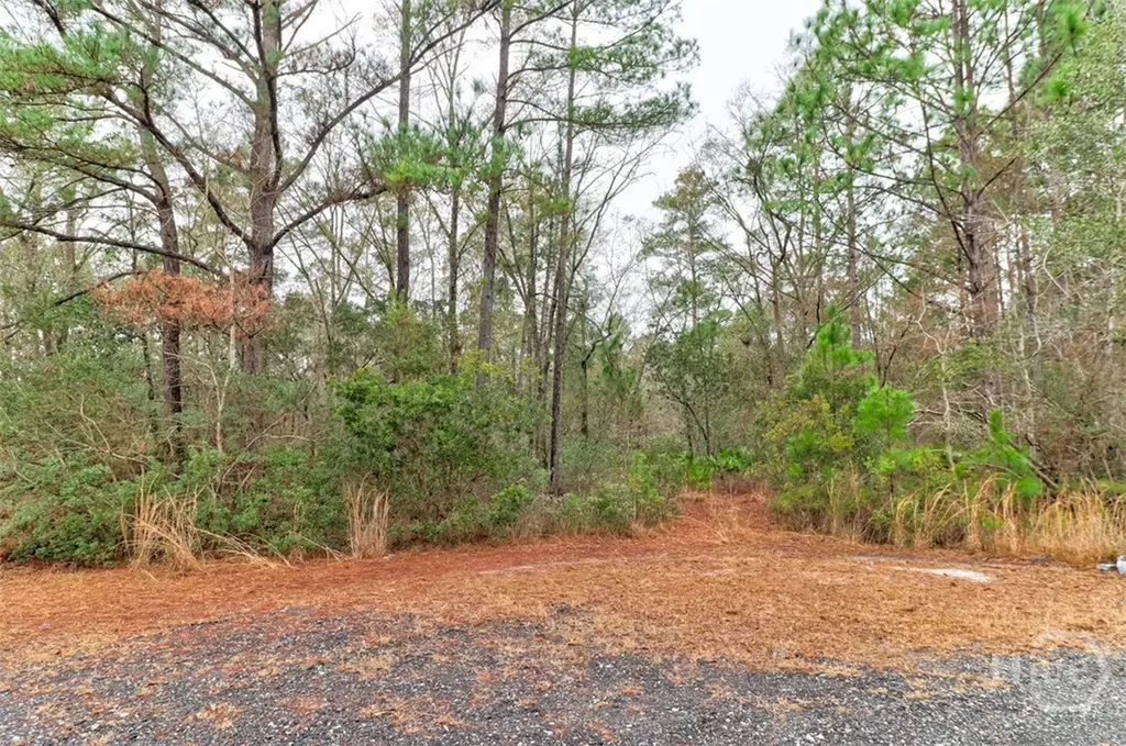 109 Unique Drive Guyton GA 31312