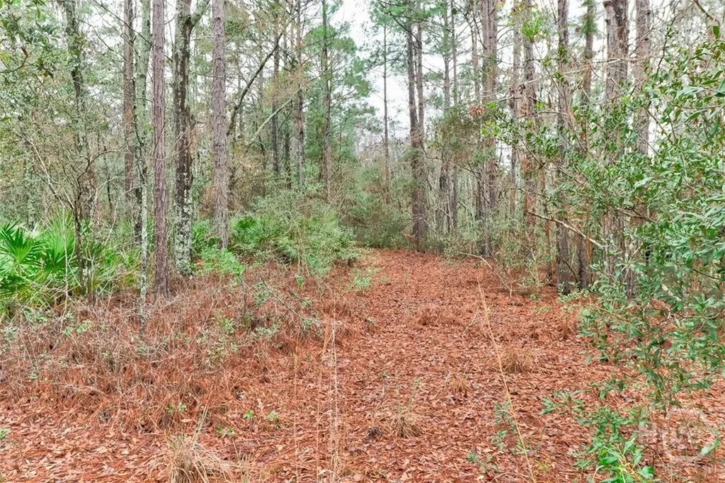 109 Unique Drive Guyton GA 31312