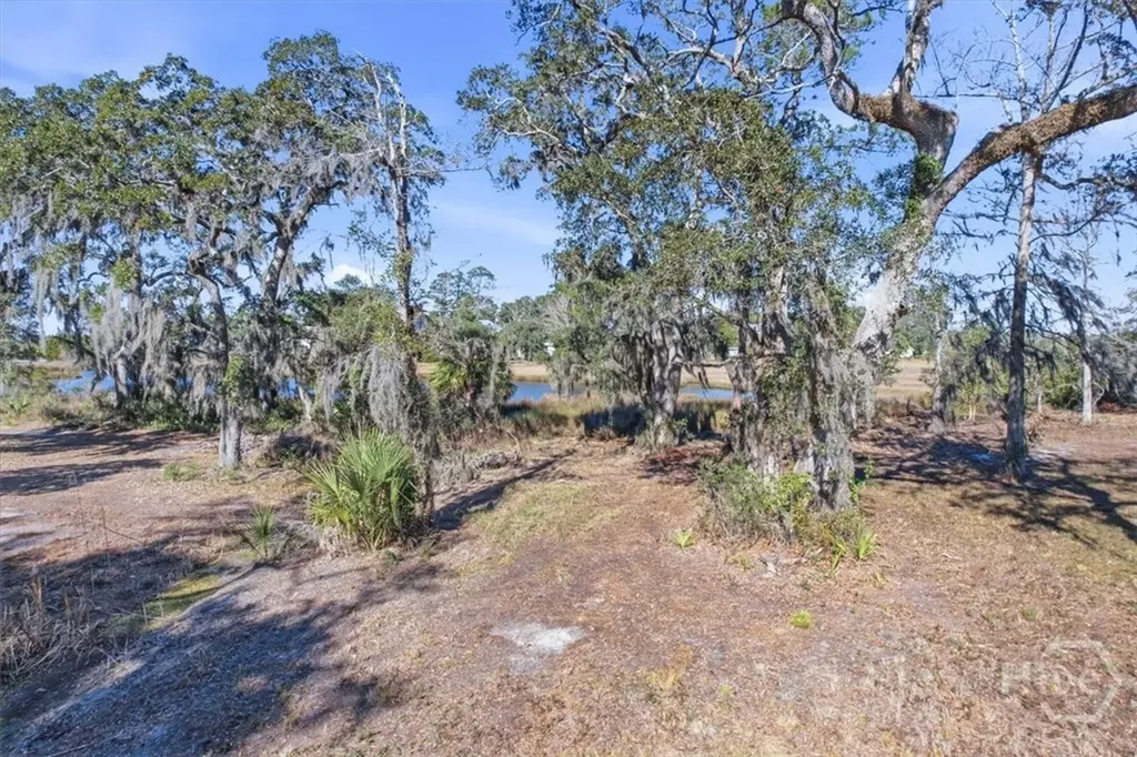 Lot 3 Bermuda Bluff Lane Midway GA 31320