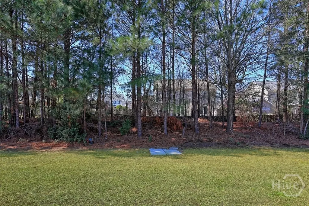 158 Willow Point Circle Savannah GA 31407