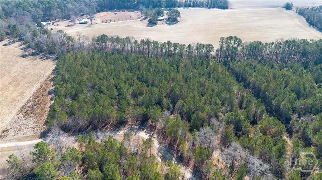 0 Clifton Road- Lot 1 Statesboro GA 30458