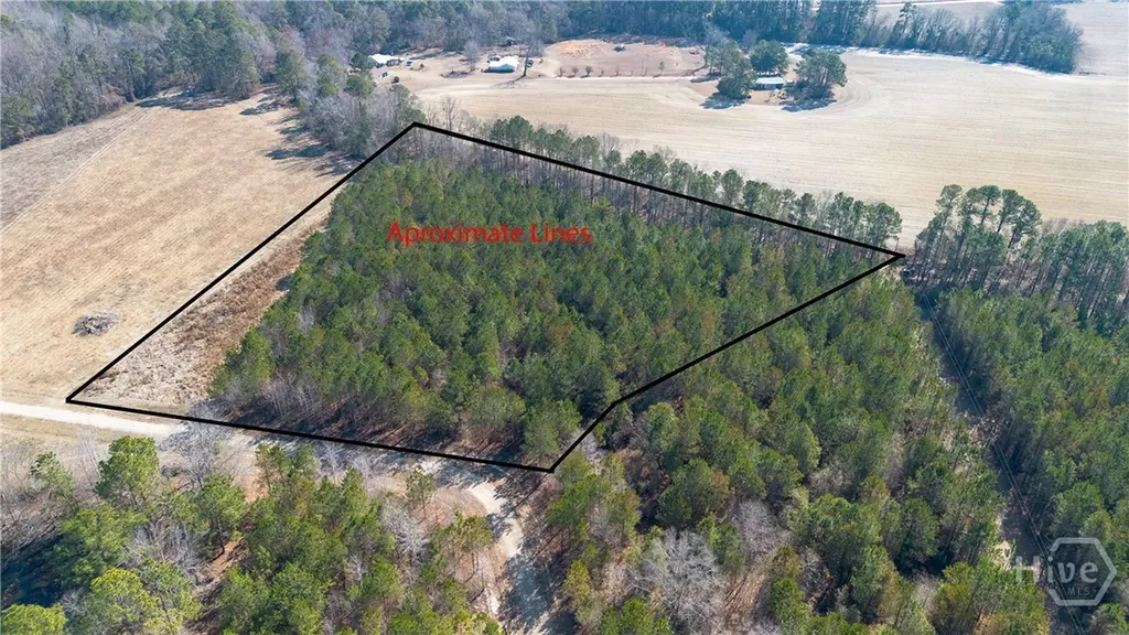 0 Clifton Road- Lot 1 Statesboro GA 30458