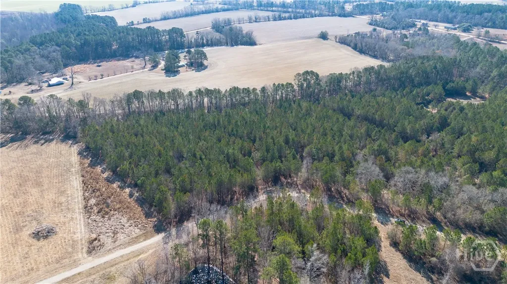 0 Clifton Road- Lot 1 Statesboro GA 30458