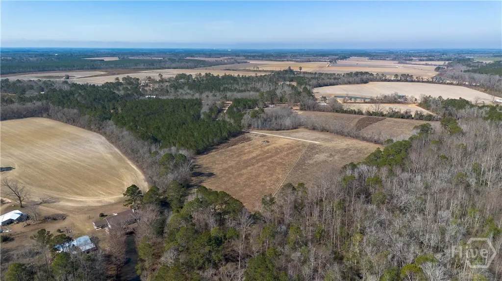 0 Clifton Road- Lot 1 Statesboro GA 30458