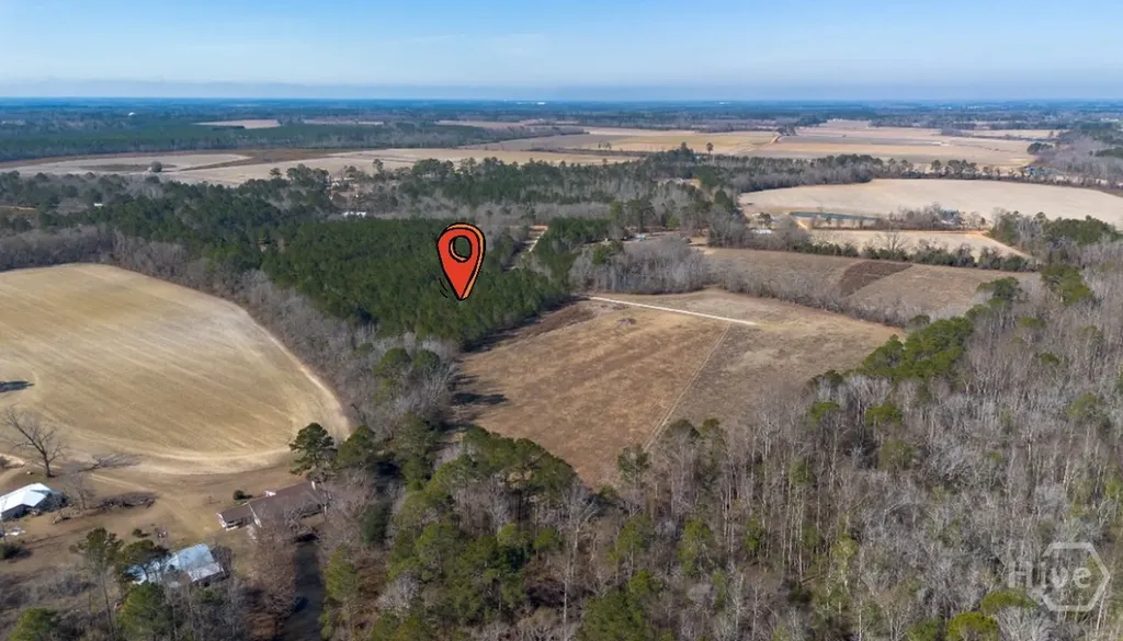 0 Clifton Road- Lot 1 Statesboro GA 30458