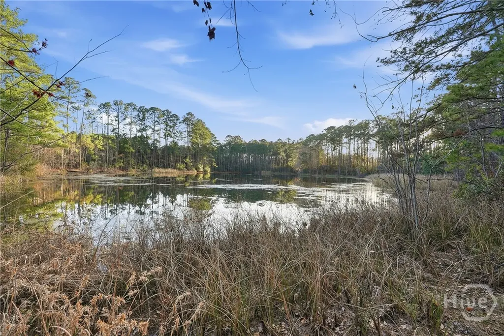 1513 1/2 & 1519 Quacco Road Pooler GA 31322