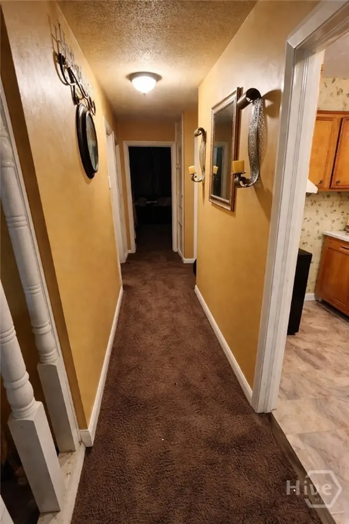 2221 Lorraine Court Savannah GA 31404