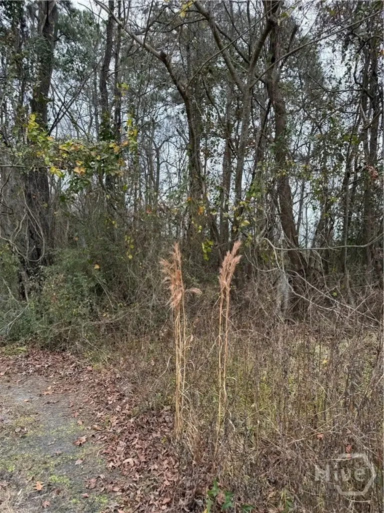 00 State Highway 21 Port Wentworth GA 31407