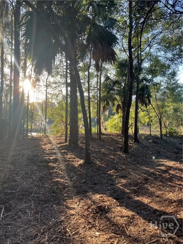 Lot 8 Hudson Creek Drive SE Darien GA 31305