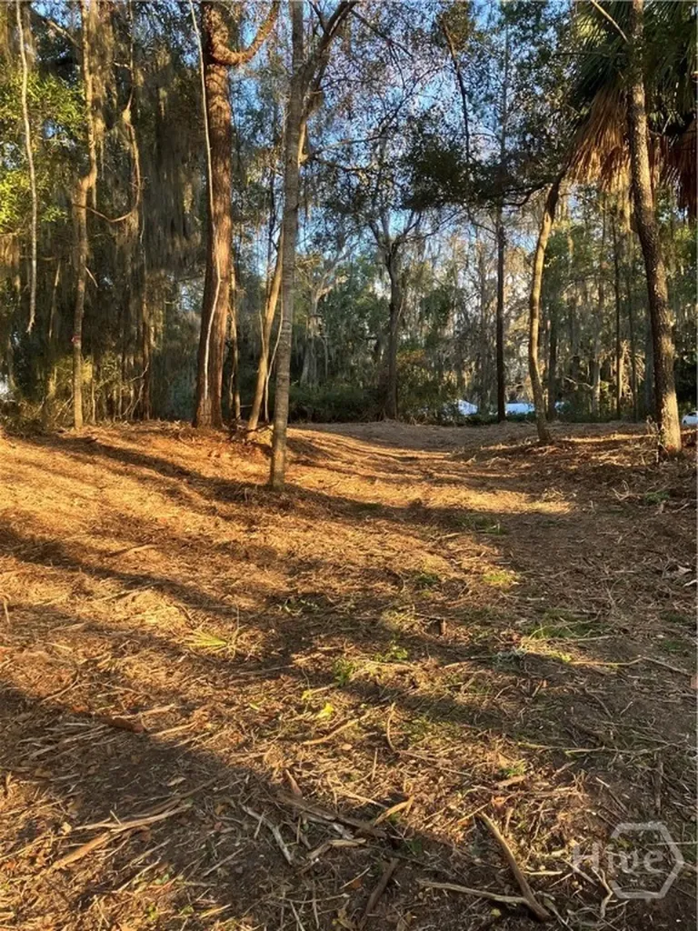 Lot 8 Hudson Creek Drive SE Darien GA 31305
