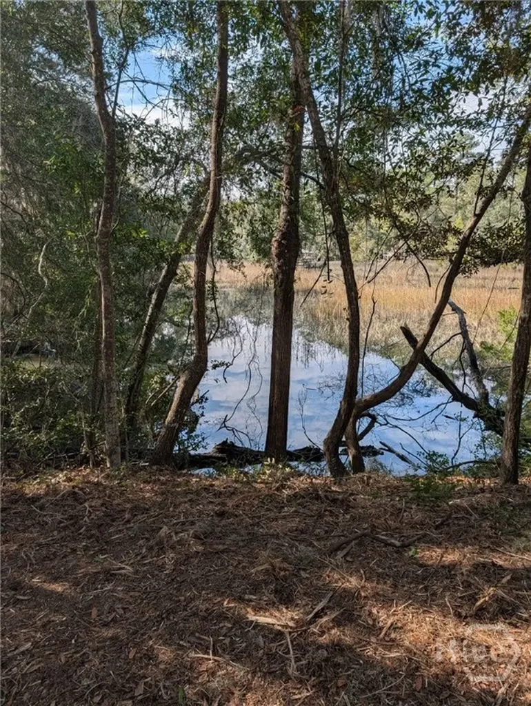 Lot 8 Hudson Creek Drive SE Darien GA 31305