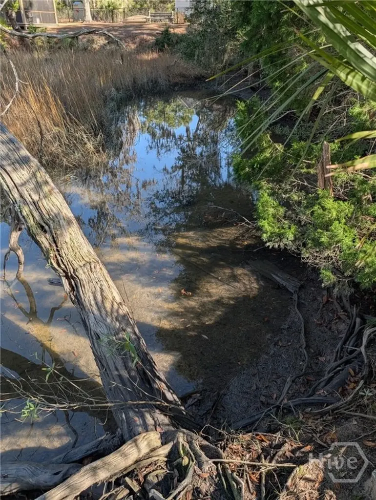 Lot 8 Hudson Creek Drive SE Darien GA 31305