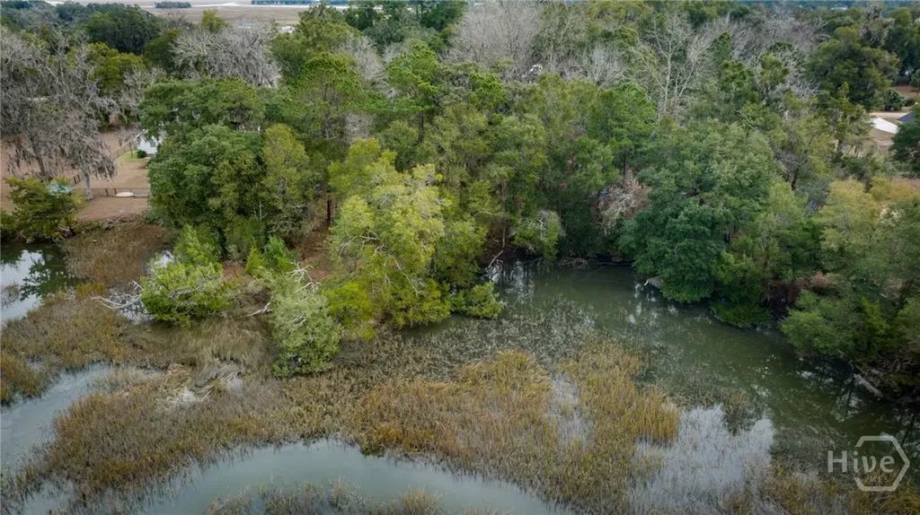 Lot 8 Hudson Creek Drive SE Darien GA 31305