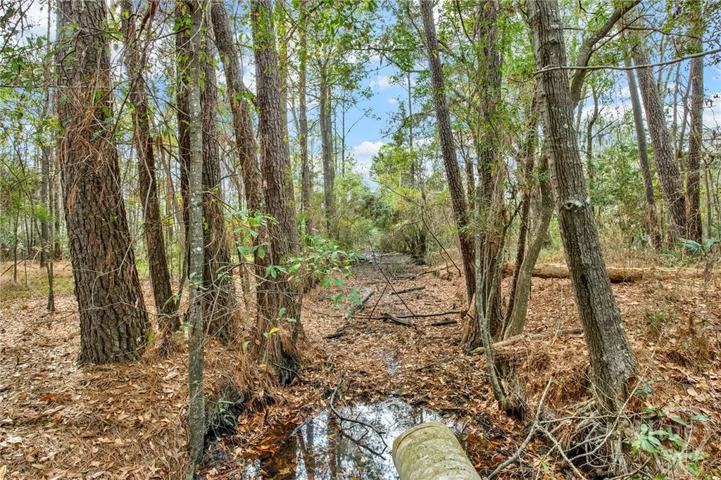 181-199 Burton Road Savannah GA 31405
