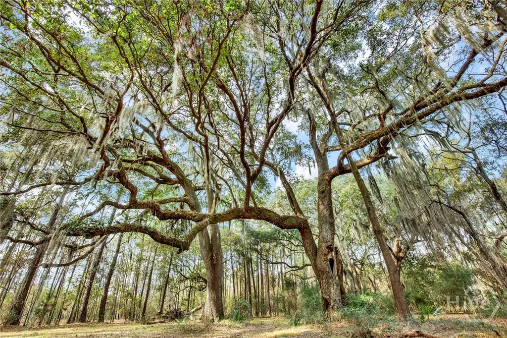 181-199 Burton Road Savannah GA 31405