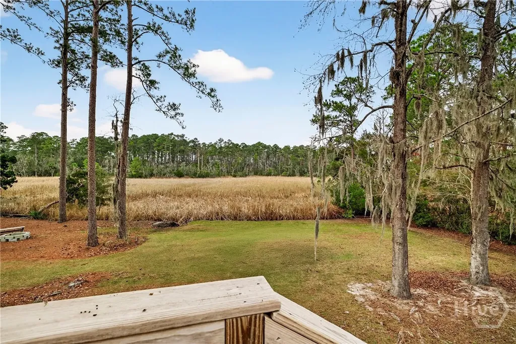 314 Mill Run Road Richmond Hill GA 31324