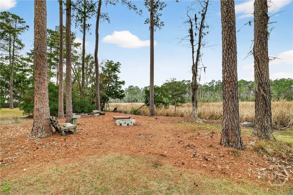 314 Mill Run Road Richmond Hill GA 31324