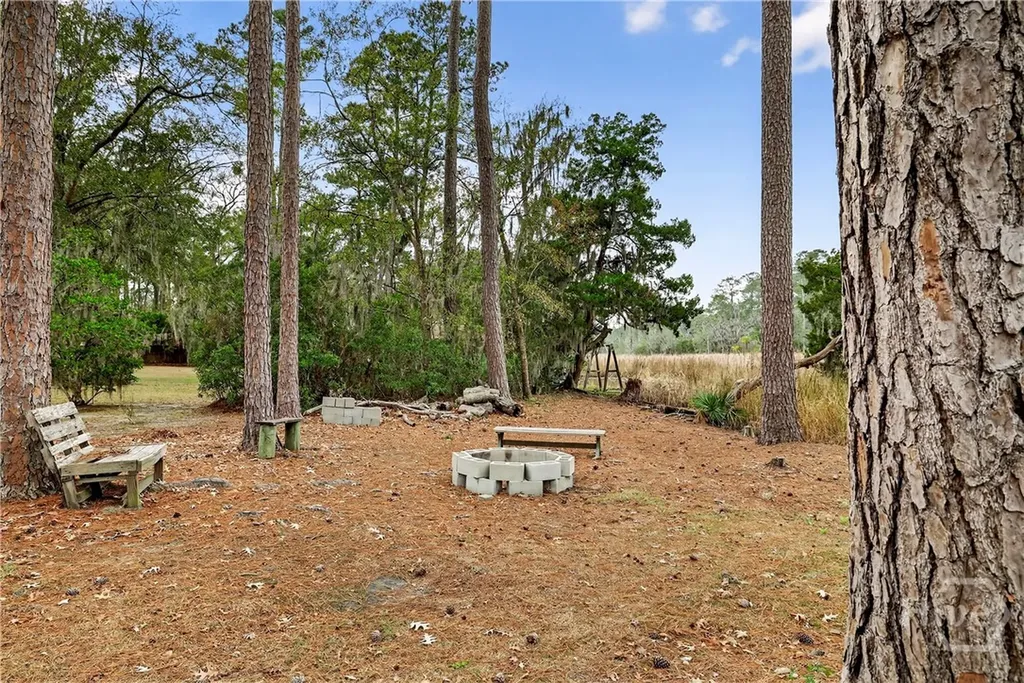 314 Mill Run Road Richmond Hill GA 31324