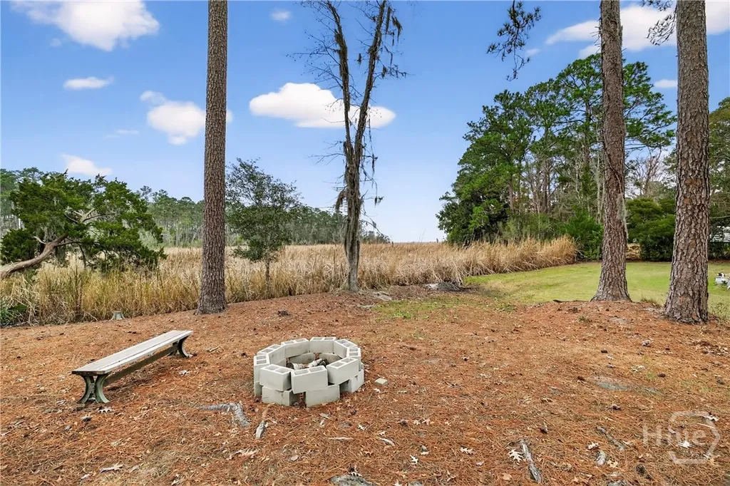 314 Mill Run Road Richmond Hill GA 31324