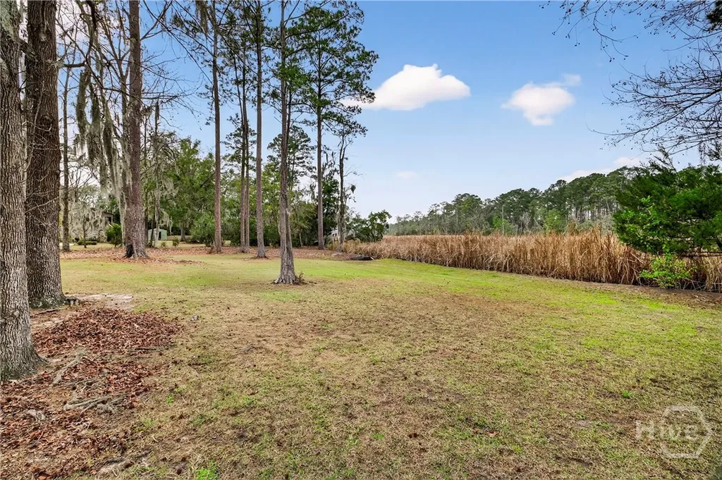 314 Mill Run Road Richmond Hill GA 31324