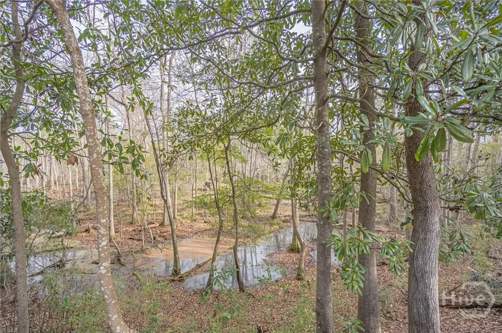 179 Hawk Hammock Drive Springfield GA 31329