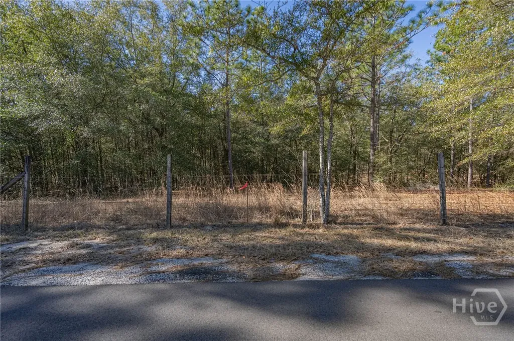 164 Holly Drive Eden GA 31307