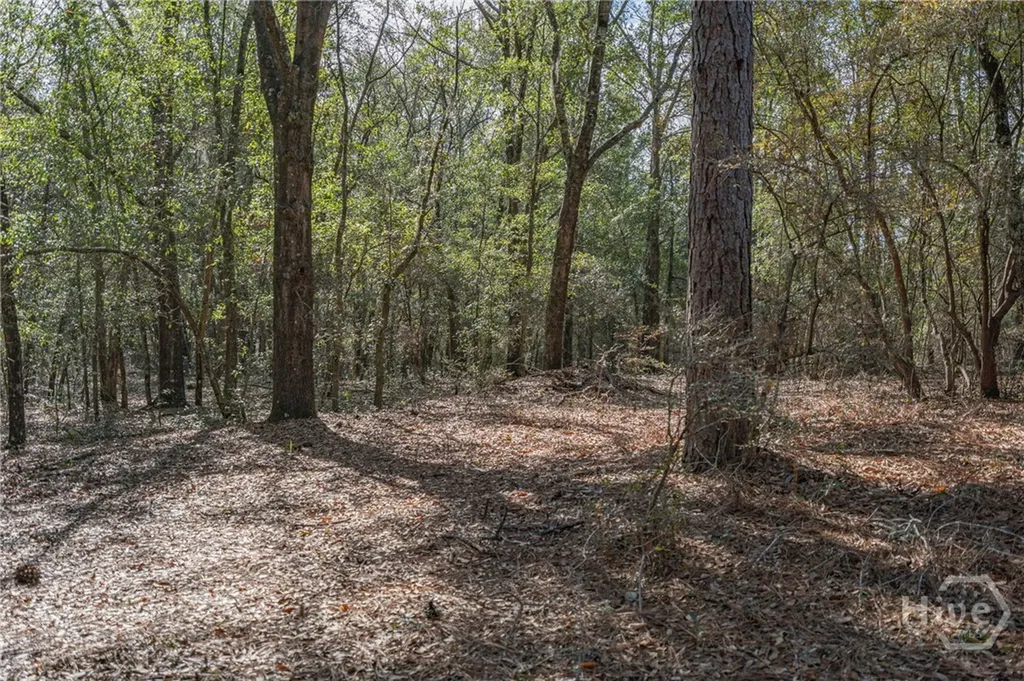 164 Holly Drive Eden GA 31307