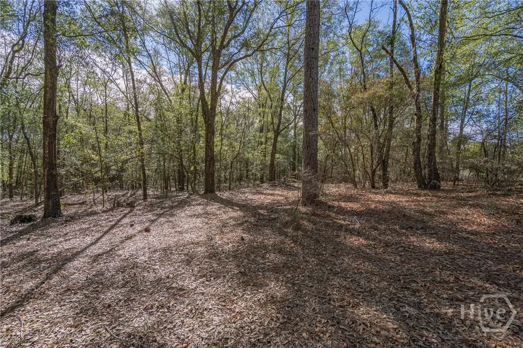 164 Holly Drive Eden GA 31307