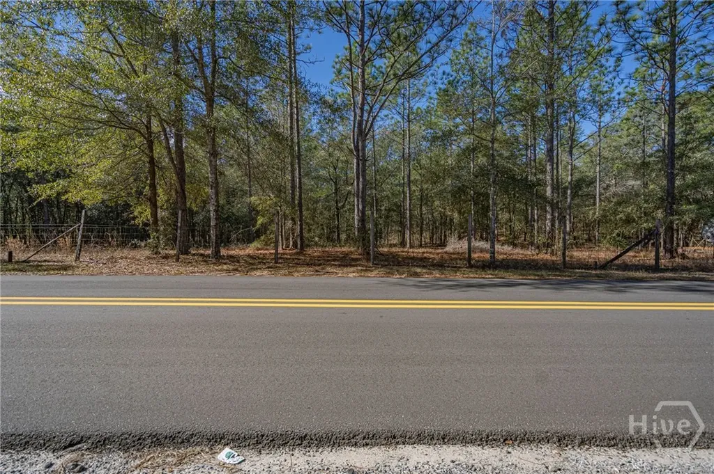 164 Holly Drive Eden GA 31307