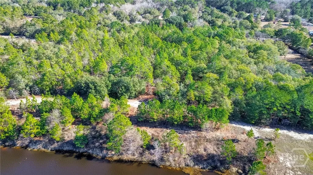 164 Holly Drive Eden GA 31307