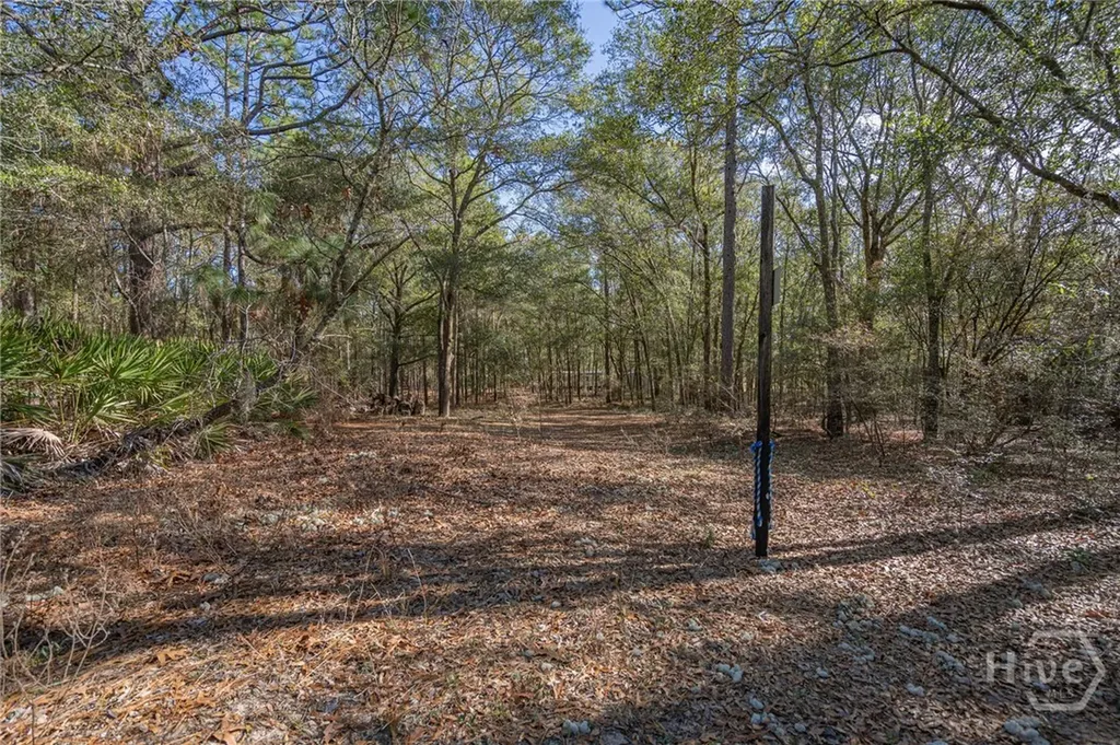 164 Holly Drive Eden GA 31307