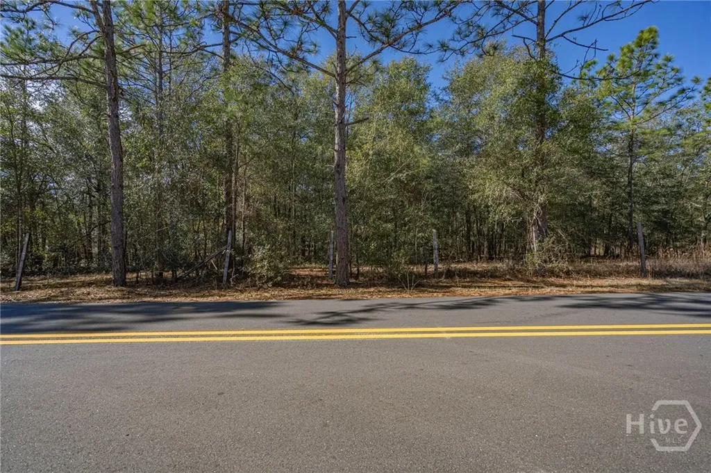 0 Holly Drive Eden GA 31307