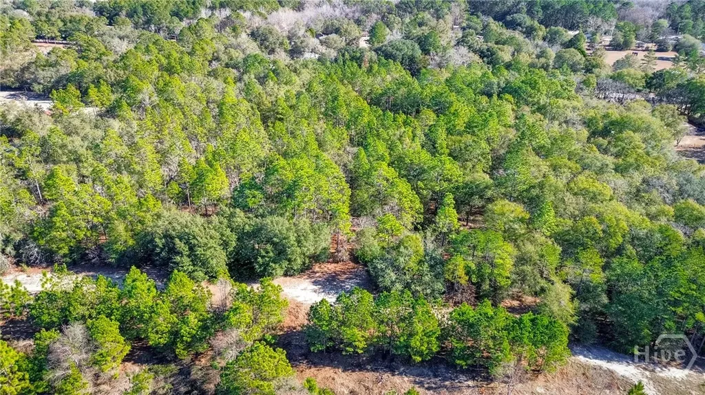 0 Holly Drive Eden GA 31307