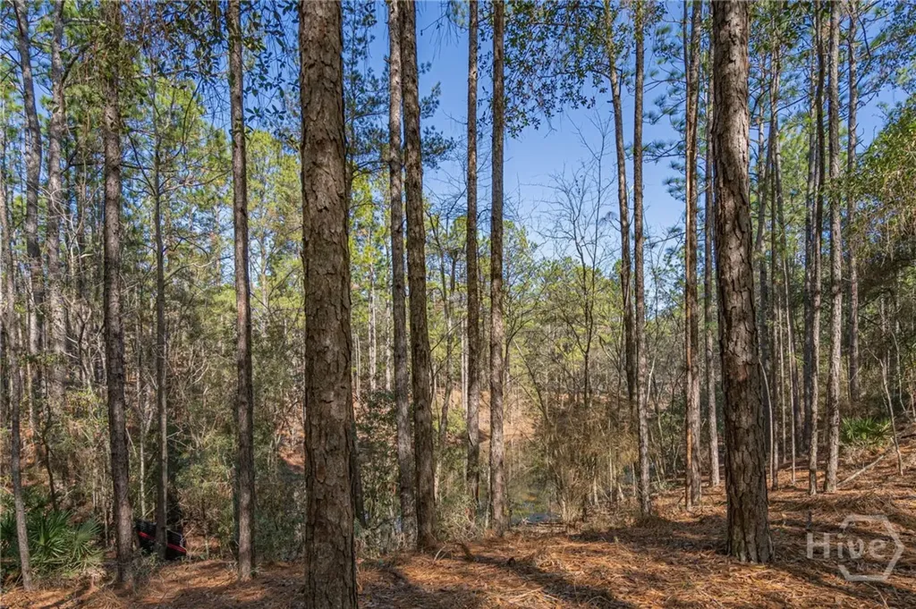 0 Holly Drive Eden GA 31307