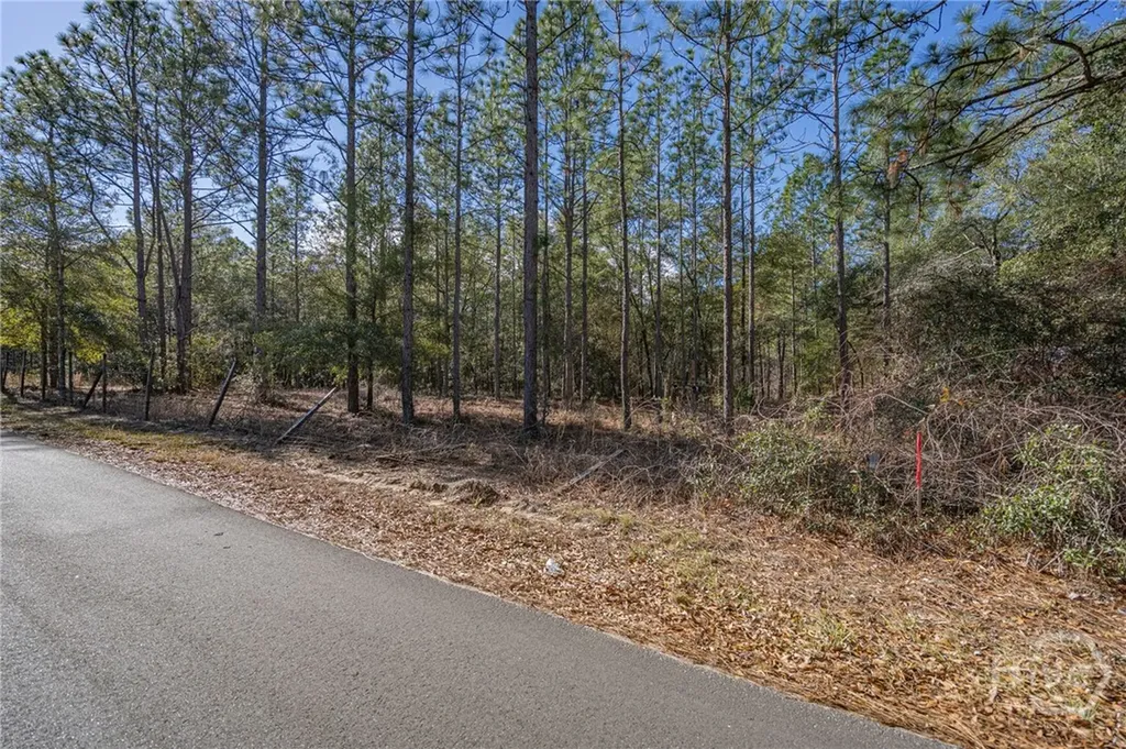 0 Holly Drive Eden GA 31307