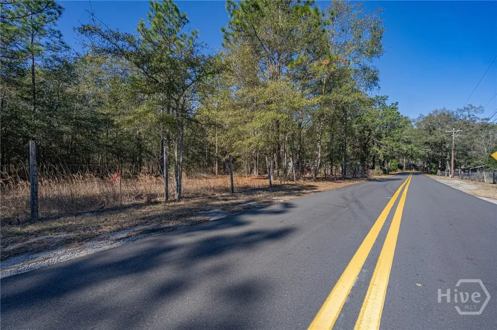 0 Holly Drive Eden GA 31307