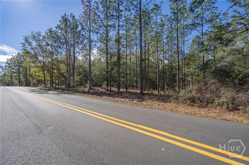 0 Holly Drive Eden GA 31307