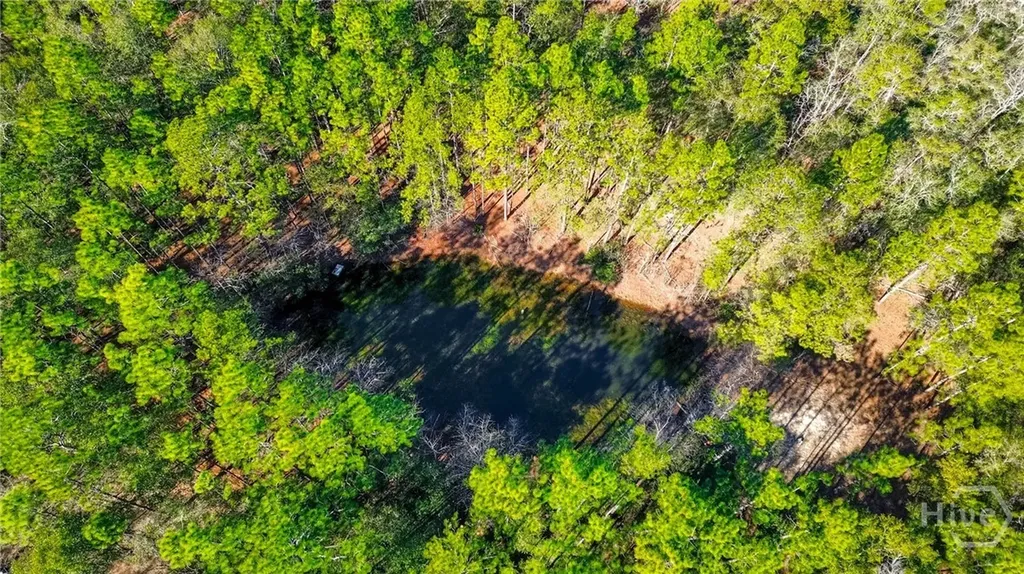 0 Holly Drive Eden GA 31307